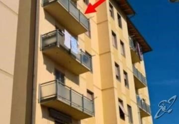 Eurohome Comfort Apartment Signa